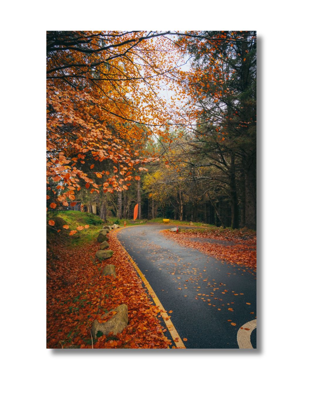 ALL ROADS LEAD TO FALL