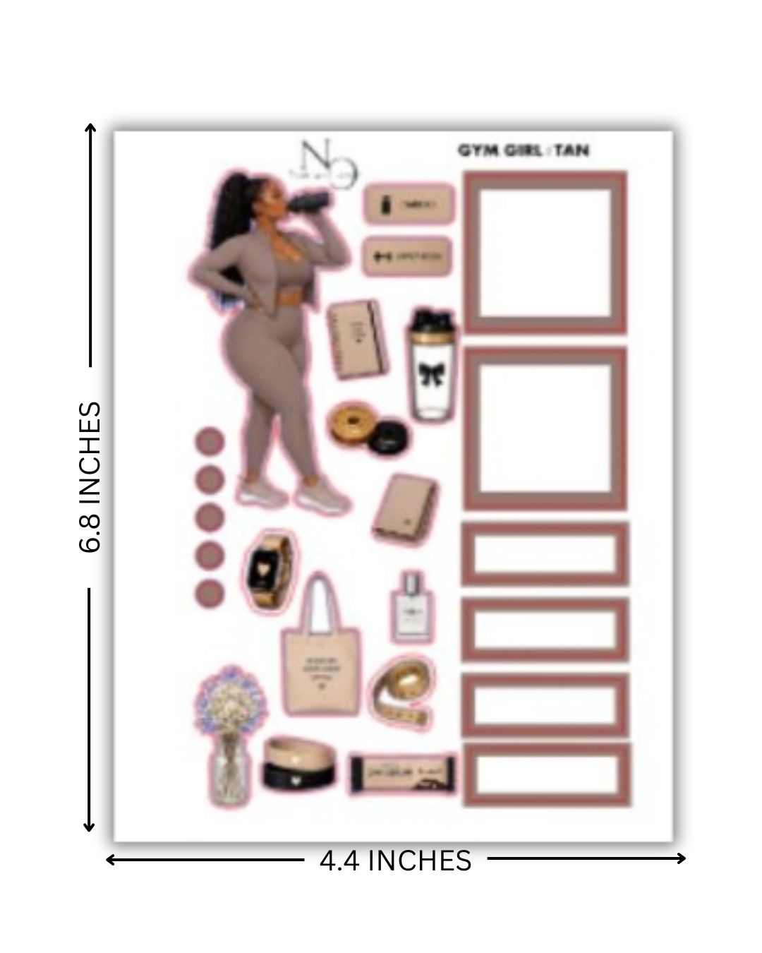 GYM GIRL DAILY/ WEEKLY KIT