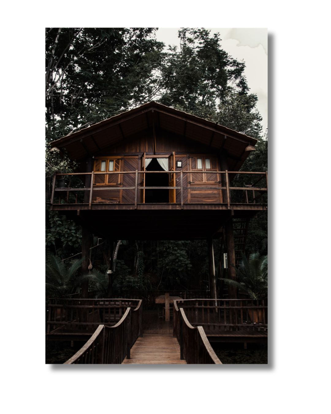 CABIN IN THE WOODS