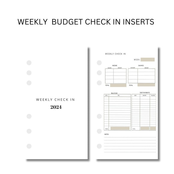 Weekly Budget Check In Insert